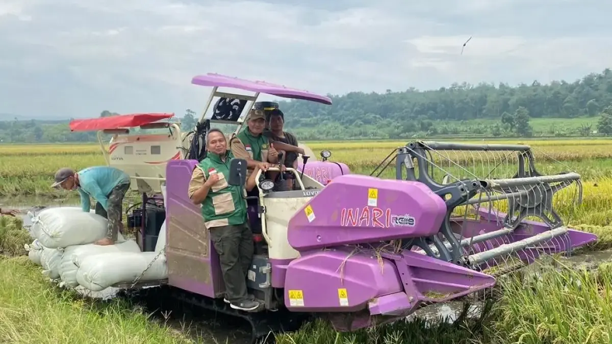 Panen Raya Gringsing Batang, Produktivitas Padi Tetap Stabil 7 Ton per Hektar di Tengah Cuaca Ekstrem Panen Raya Gringsing Batang, Produktivitas Padi Tetap Stabil 7 Ton per Hektar di Tengah Cuaca Ekstrem