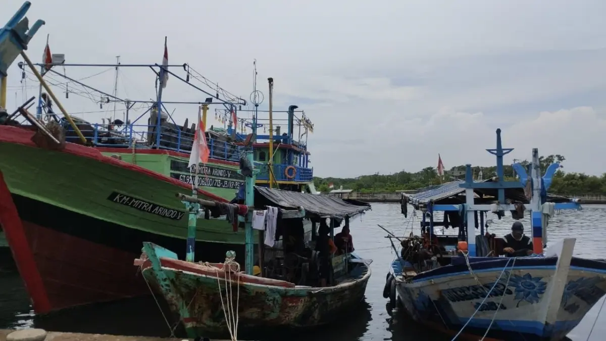 Siasat Nelayan Pekalongan Hadapi Cuaca Ekstrem, Andalkan Aplikasi Cuaca demi Keselamatan dan Ekonomi