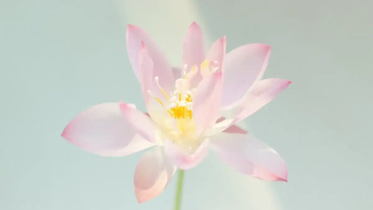 Ramalan Zodiak 23 Februari 2026