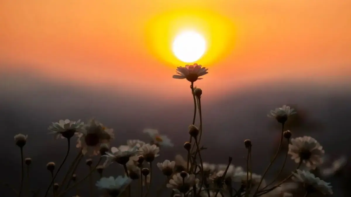 Ramalan Zodiak 28 Februari 2026