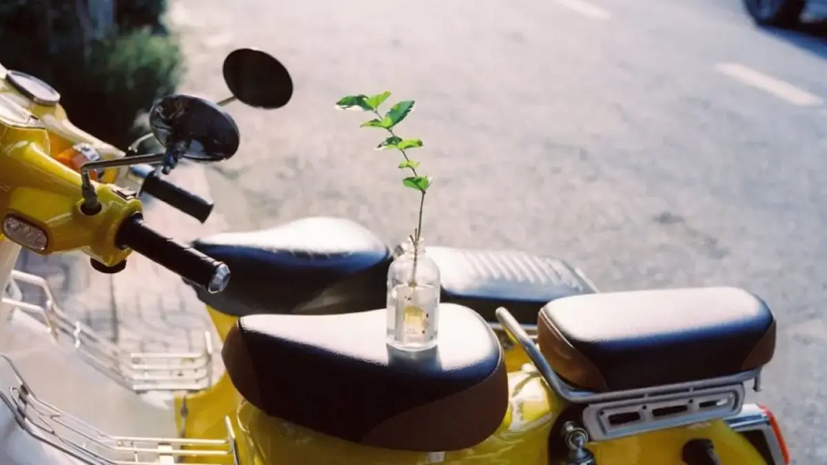 Ramalan Zodiak Jumat 27 Februari 2026