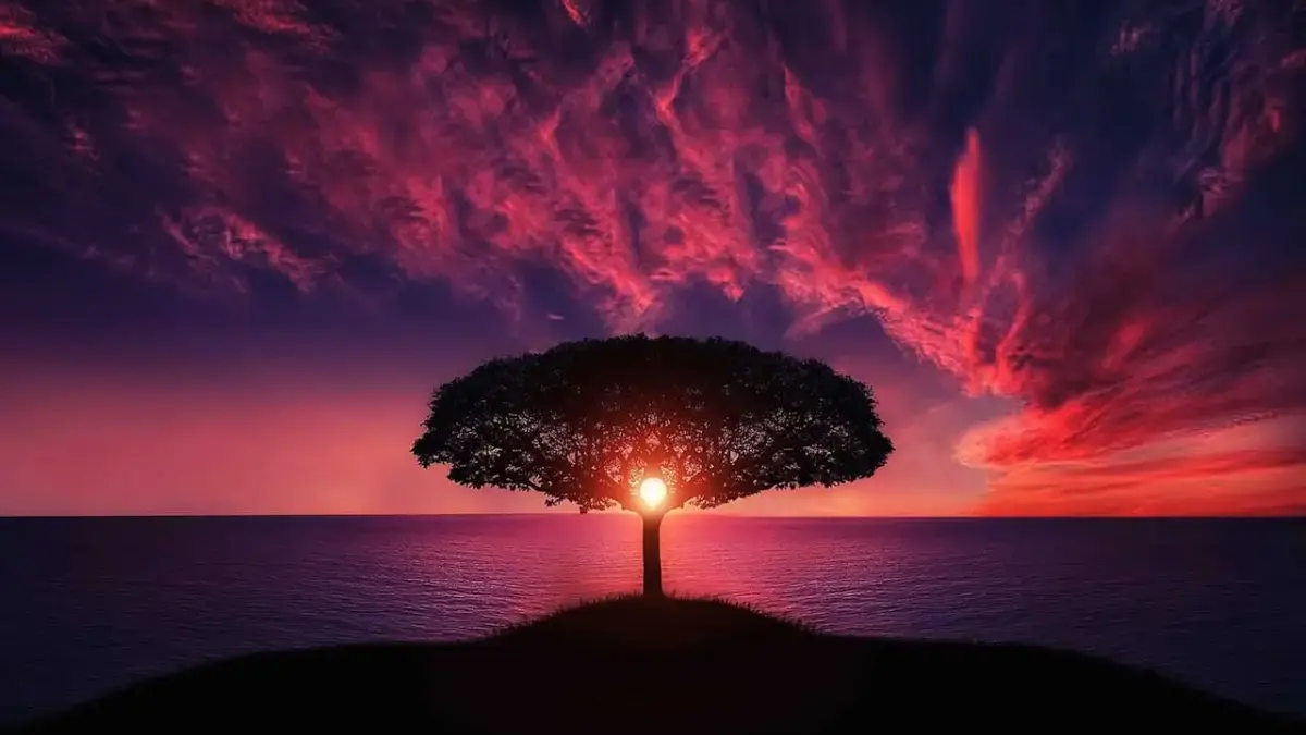 Ramalan Zodiak Selasa 3 Februari 2026