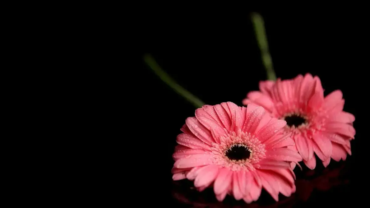 Muncul Tantangan Kecil? Ramalan Zodiak Senin 23 Februari 2026 untuk Leo, Virgo, Libra, dan Scorpio Ramalan Zodiak Senin 23 Februari 2026