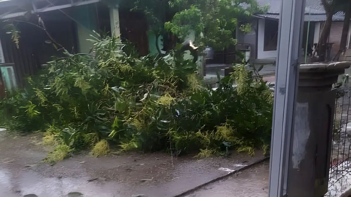 Cuaca Ekstrem Terjang Kendal, Infrastruktur Desa Margorejo Rusak, Listrik Padam hingga Pasokan Air Mati