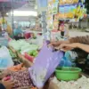 Harga Cabai dan Tomat di Batang Terjun Bebas Usai Lebaran 2026, Emak-emak Senang