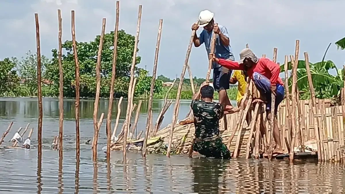 Tanggul Sungai Bremi Pekalongan Jebol! TNI dan Warga Kompak Berjibaku Pasang Sandbag Adang Banjir Tanggul Sungai Bremi Pekalongan Jebol! TNI dan Warga Kompak Berjibaku Pasang Sandbag Adang Banjir