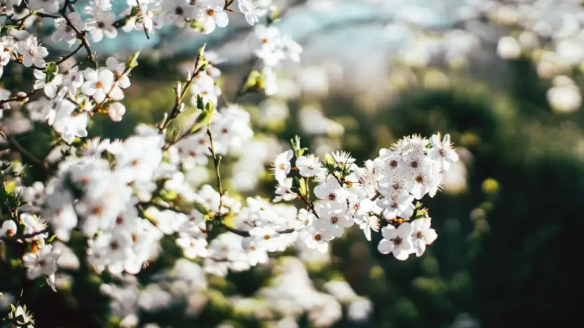 Ramalan Keuangan Zodiak Rabu 18 Maret 2026