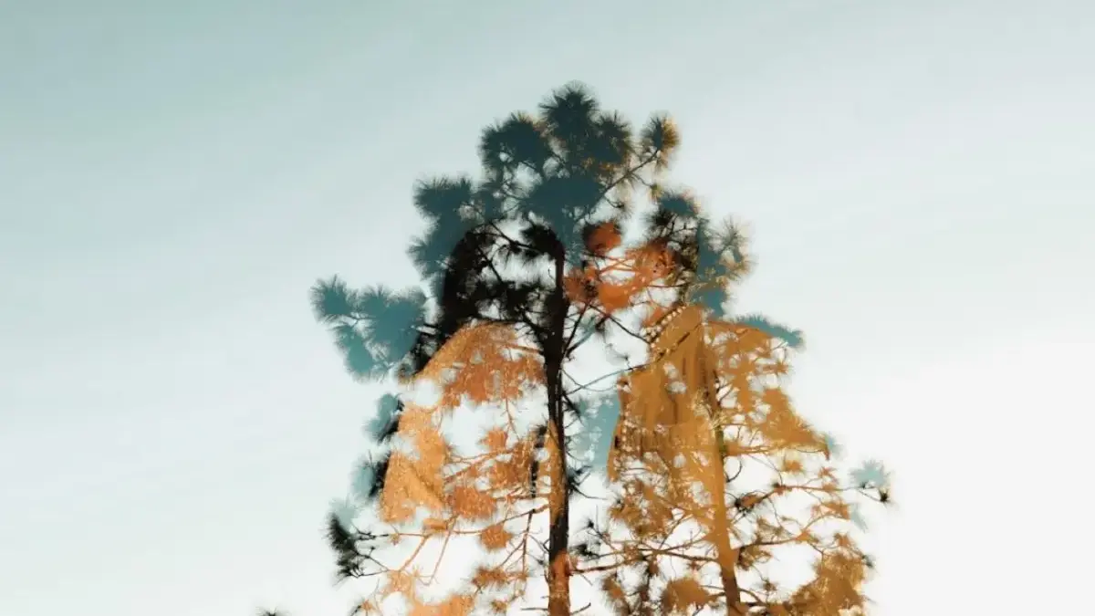 Ramalan Zodiak Besok 14 Maret 2026