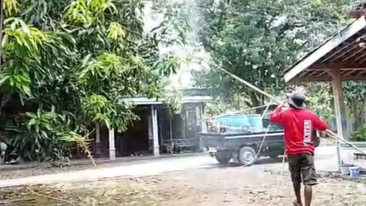 Bikin Ngiler! Bisnis Semprot Mangga di Kendal Kian Menggiurkan, 1 Pohon Hasilkan 3 Kuintal Cuannya Segini