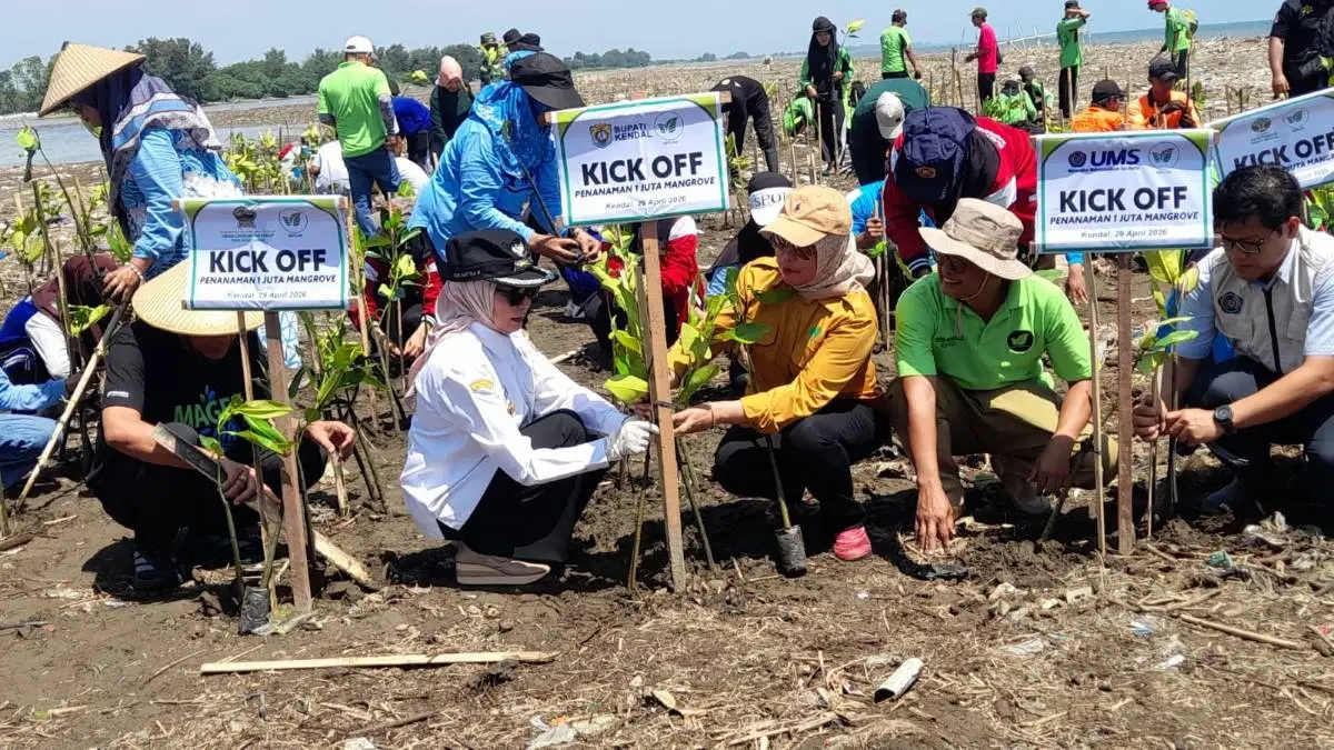 Cegah Abrasi Pantura, Kendal Mulai Penanaman 1 Juta Mangrove di Pesisir Pantai Jomblom