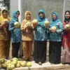 Cegah Stunting, Dinperpa dan TP PKK Pekalongan Panen Melon Inthanon serta Telur Omega-3