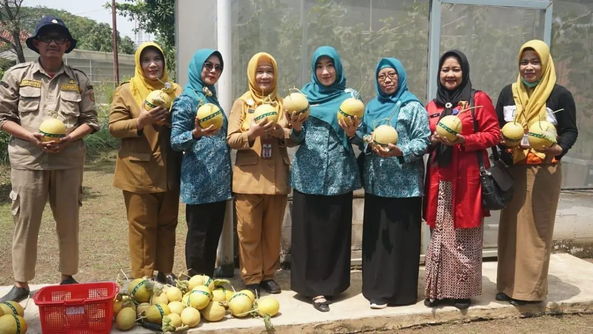 Cegah Stunting, Dinperpa dan TP PKK Pekalongan Panen Melon Inthanon serta Telur Omega-3
