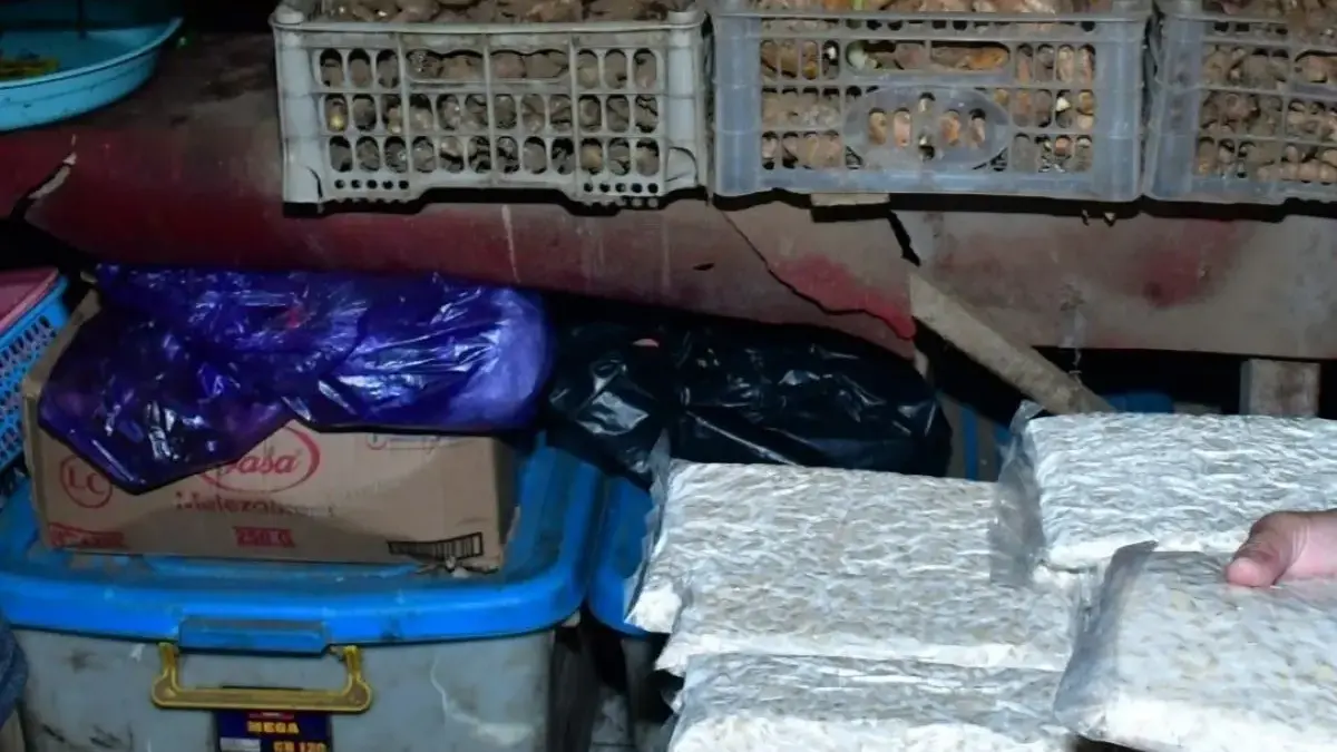 Imbas Konflik Global, Harga Kedelai di Pekalongan Tembus Rp 10.800, Perajin Tempe Makin Pusing