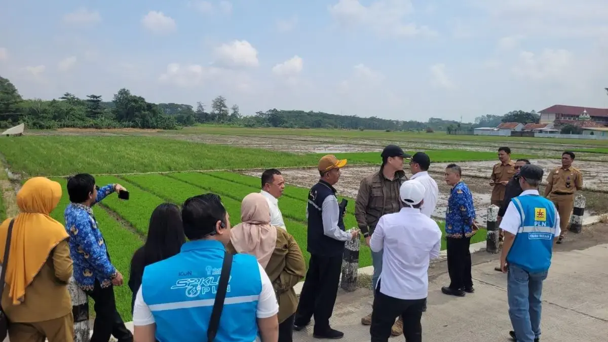 Pusat Cek Lokasi PSEL Pekalongan Raya! Lahan Masih Kurang 0,8 Hektare, Pemkot Segera Bebaskan Tanah