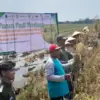 Sukses Tingkatkan Hasil, Unimus dan Petani Kendal Panen Perdana Padi Inpari 32 Lewat Skema Korporasi