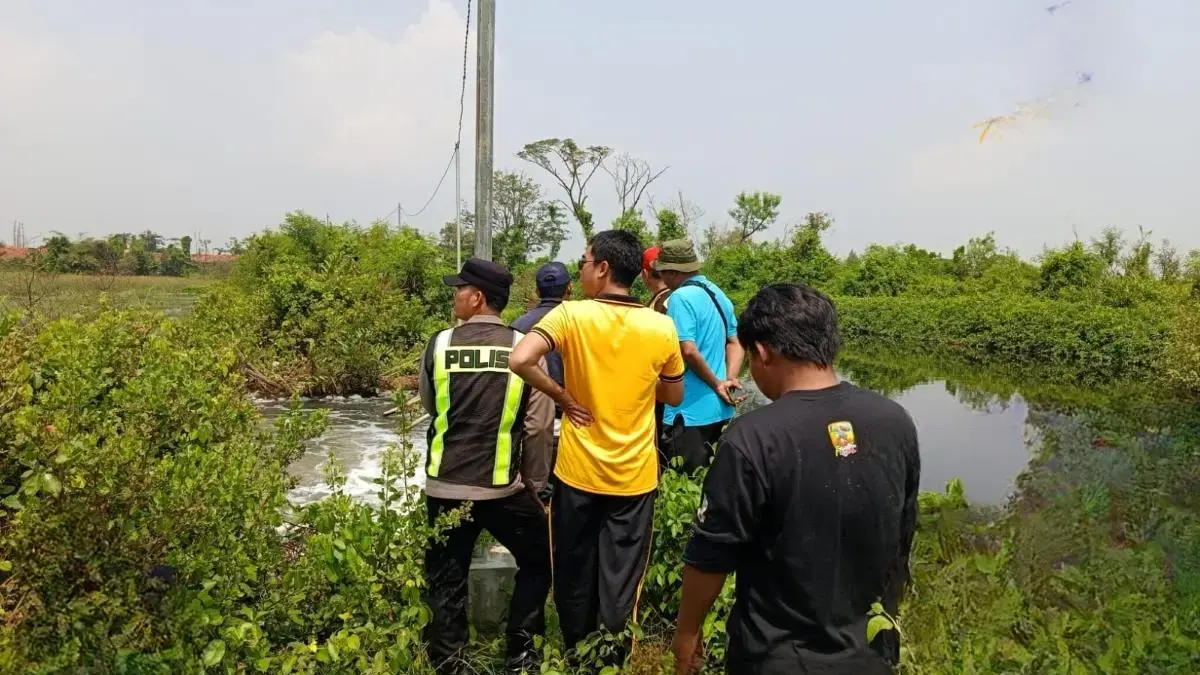 Tanggul Sungai Silempeng Pekalongan Jebol Diterjang Pasang, 15 Hektar Sawah Terendam