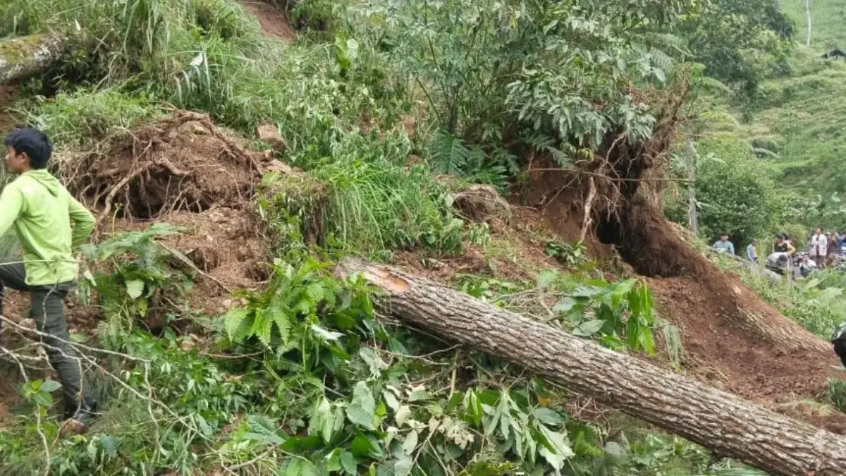 Tebing Petungkriyono Longsor Mendadak Tanpa Hujan, Akses Jalan Desa di Pekalongan Sempat Lumpuh Tebing Petungkriyono Longsor Mendadak Tanpa Hujan, Akses Jalan Desa di Pekalongan Sempat Lumpuh