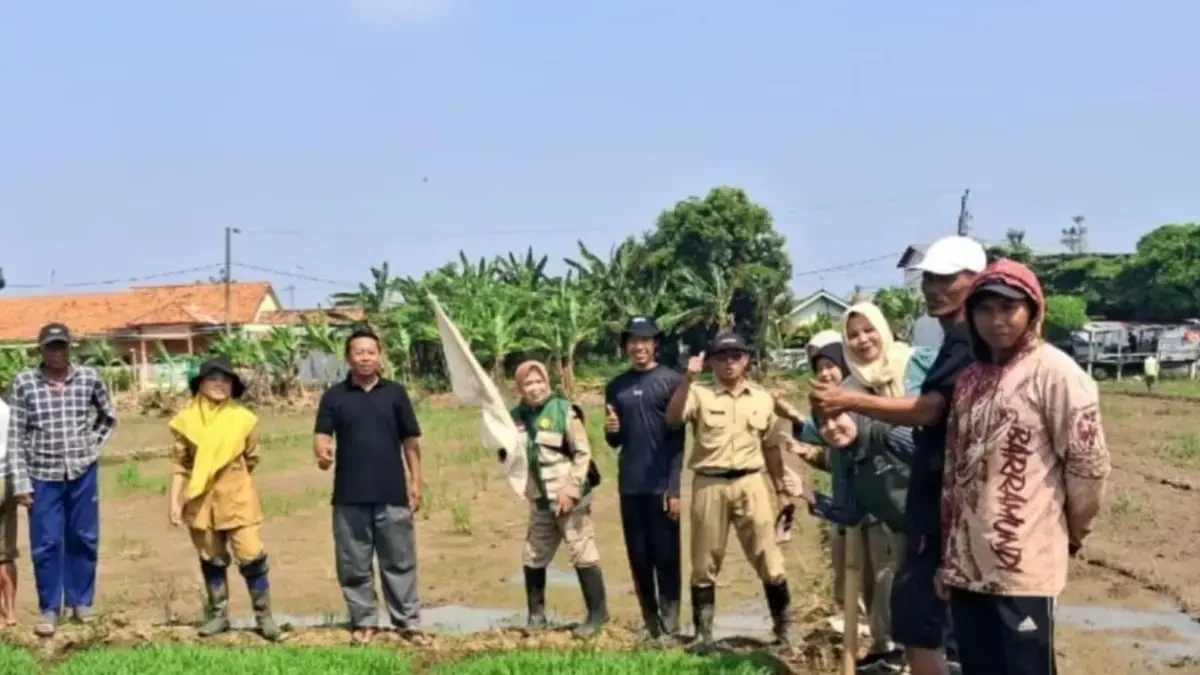 Tekan Hama Tanpa Kimia, Dinperpa Pekalongan Ikuti Gerakan Nasional Pengendalian Penggerek Batang Padi
