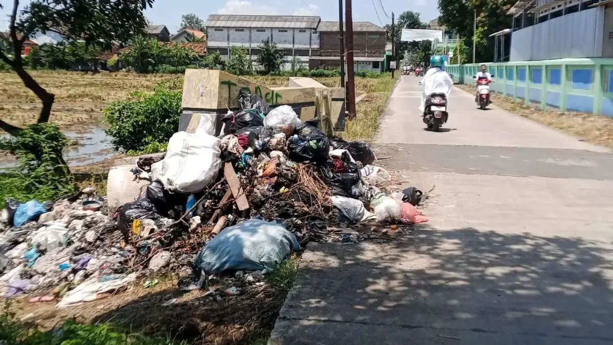 Tumpukan Sampah Menggunung di Jembatan Kaliwungu Kendal, Bau Busuk Ganggu Aktivitas Sekolah Tumpukan Sampah Menggunung di Jembatan Kaliwungu Kendal, Bau Busuk Ganggu Aktivitas Sekolah