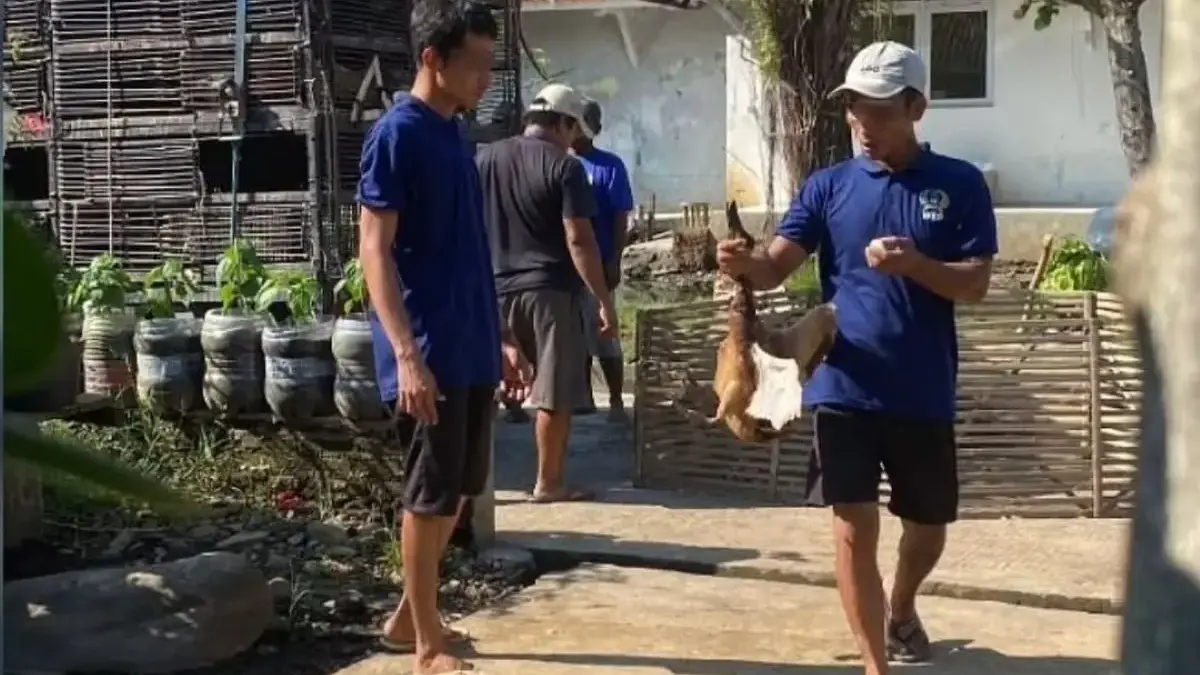 Bekali Keterampilan Pasca-Bui, Warga Binaan Lapas Pekalongan Belajar Budidaya Bebek Petelur Bekali Keterampilan Pasca-Bui, Warga Binaan Lapas Pekalongan Belajar Budidaya Bebek Petelur