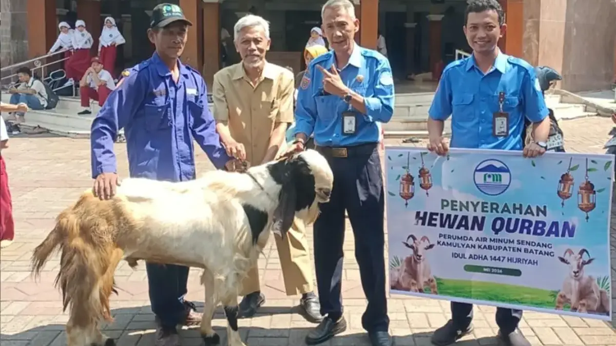 PAM Sendang Kamulyan mwnyalurkan 15 ekor kambing kurban.