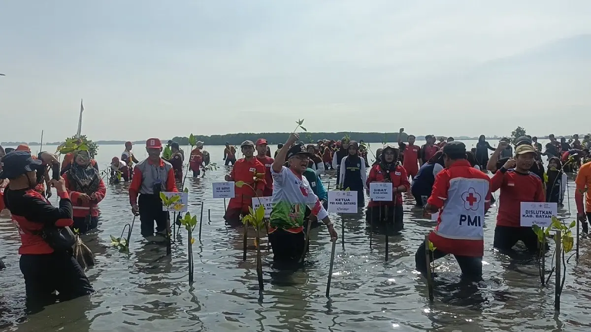 Inovatif! Siasati Banjir Rob, Kawasan Pesisir Batang Disulap Jadi Destinasi Wisata Perikanan