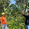 Patahkan Stigma Kuno, Mahasiswa Undip Terjun Kembangkan Alpukat Organik di Batang