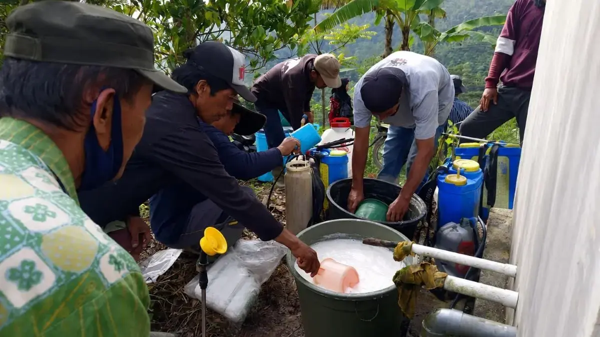 Petani Kopi Plantungan Kendal Serbu Hama OPT, DPP Turun Tangan Bagikan Sarana Pengendalian Gratis!
