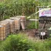 Produksi Perdana, Sumur Minyak Rakyat Kendal Kirim 15 Ribu Liter Minyak Mentah ke Pertamina Cepu
