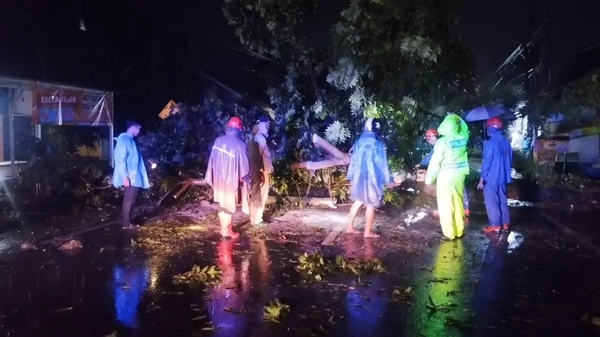Respons Cepat, Polsek Bojong Evakuasi Pohon Tumbang yang Tutup Jalan Akses Desa Babalanlor Pekalongan Respons Cepat, Polsek Bojong Evakuasi Pohon Tumbang yang Tutup Jalan Akses Desa Babalanlor Pekalongan