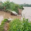 Tanggul Pidodo Kulon Kendal Jebol 20 Meter, Pemkab Laporkan Kedaruratan ke PSDA Jawa Tengah