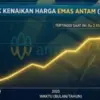 Prediksi Harga Emas Minggu Pertama Bulan Juni 2026