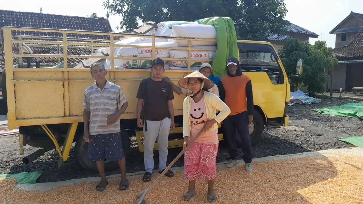 Harga Jagung di Kendal Tembus Rp6.200 per Kg, Petani Panen Untung di Musim Ini