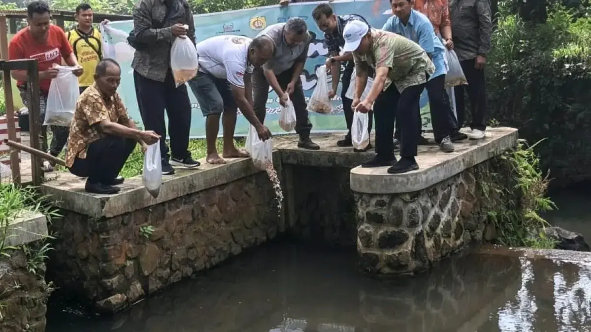 Jaga Kelestarian Ekosistem, DKP Kendal Tebar 7.000 Benih Ikan Air Tawar di Sungai Kaliwetan Sukorejo