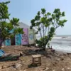 Rob dan Abrasi Ancam Pantai Sigandu Batang, 2 Hektare Lahan Pemda Terendam