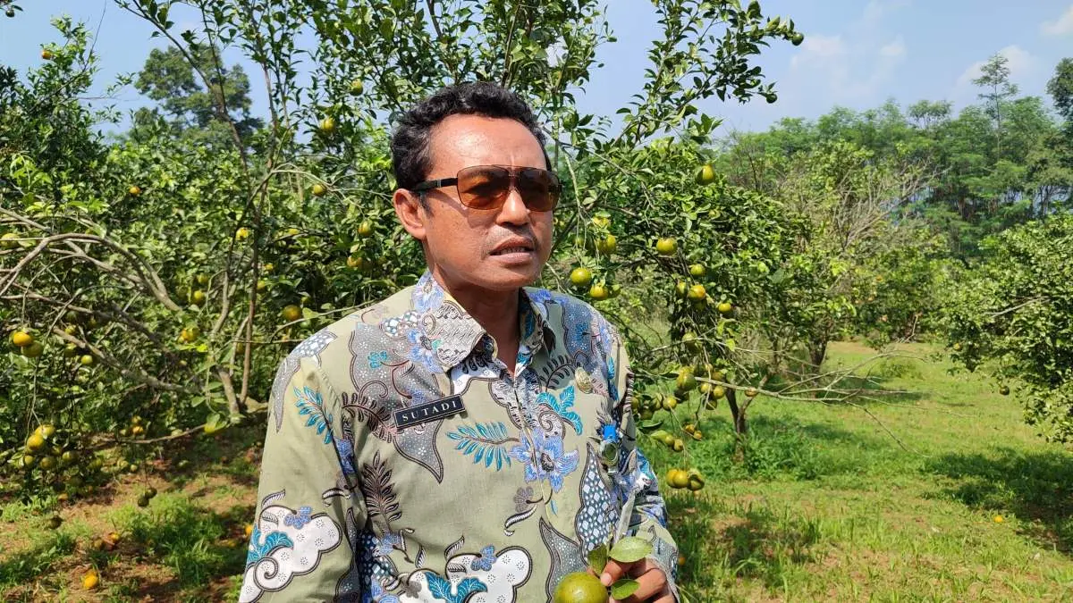 Salurkan 20 Kg Beras, Pemkab Batang Kebut Distribusi Bantuan Pangan di Tiga Kecamatan Tersisa