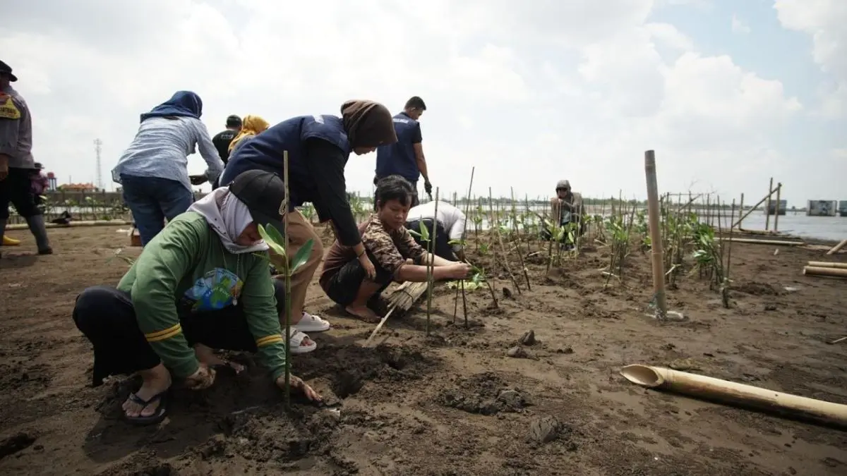 Kota Pekalongan Raih Pendanaan GCF USD9 Juta untuk Ketahanan Iklim Kota Pekalongan Raih Pendanaan GCF USD9 Juta untuk Ketahanan Iklim