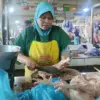 Libur Sekolah dan MBG Rehat, Harga Ayam dan Telur di Batang Turun Signifikan