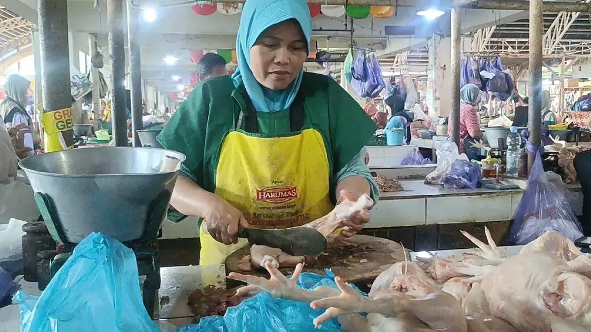 Libur Sekolah dan MBG Rehat, Harga Ayam dan Telur di Batang Turun Signifikan Libur Sekolah dan MBG Rehat, Harga Ayam dan Telur di Batang Turun Signifikan