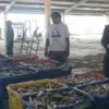 Perwal Baru TPI Pekalongan Terbit, Ikan Rusak Dilarang Dilelang