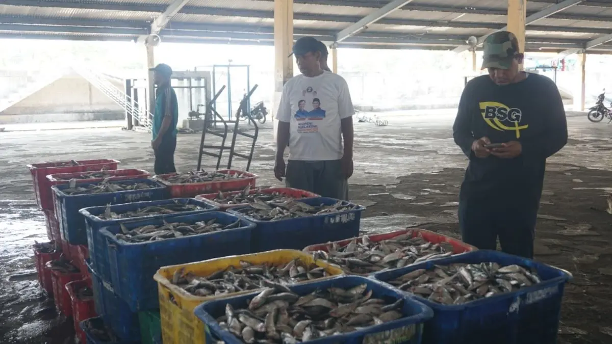 Perwal Baru TPI Pekalongan Terbit, Ikan Rusak Dilarang Dilelang