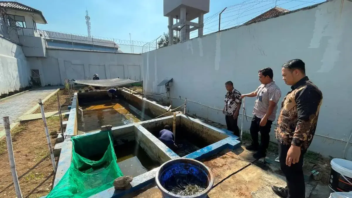 Rutan Pekalongan Panen Perdana 120 Kilogram Lele, Perkuat Ketahanan Pangan dan Pembinaan Warga Binaan Rutan Pekalongan Panen Perdana 120 Kilogram Lele, Perkuat Ketahanan Pangan dan Pembinaan Warga Binaan
