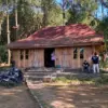Tak Kejar Wisata Massal, Desa Tombo Pilih Jaga Alam dan Kopi Lokal
