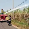 Api Melahap Lahan Tebu di Gringsing, Siswa SMA Panik dan Warga Bergotong Royong Padamkan