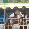 Bupati Kendal Naik Odong-odong, Karnaval HUT RI Makin Merakyat dan Semarak