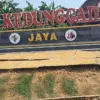 Harga Tembakau Kendal Mulai Naik, Spekulan Berani Tebus Rp60 Ribu