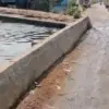 Jembatan Mulyorejo-Jeruksari Terendam Rob, Warga Desak Pemkab Pekalongan Segera Perbaiki