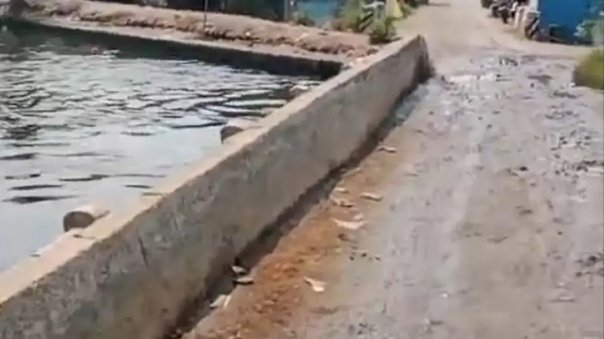 Jembatan Mulyorejo-Jeruksari Terendam Rob, Warga Desak Pemkab Pekalongan Segera Perbaiki Jembatan Mulyorejo-Jeruksari Terendam Rob, Warga Desak Pemkab Pekalongan Segera Perbaiki