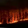Kebakaran Hutan Jati Weleri, TNI dan Warga Bahu-membahu Padamkan Api