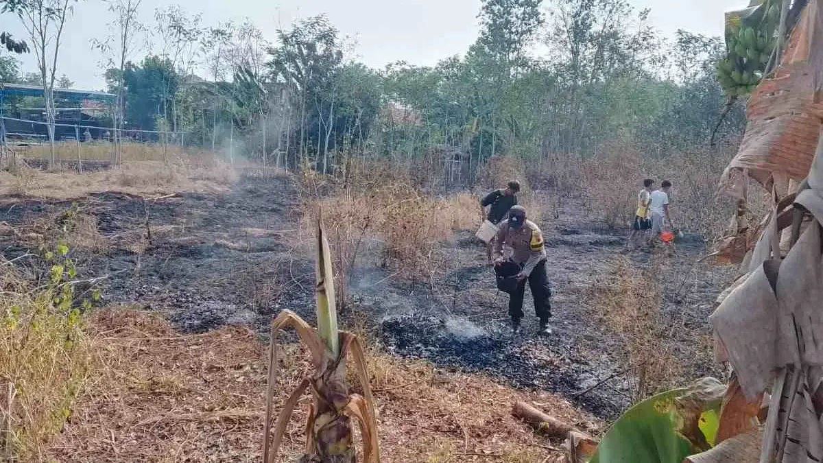 Kebakaran Lahan 600 Meter di Kalilembu, Warga dan Polisi Cepat Padamkan Kebakaran Lahan 600 Meter di Kalilembu, Warga dan Polisi Cepat Padamkan